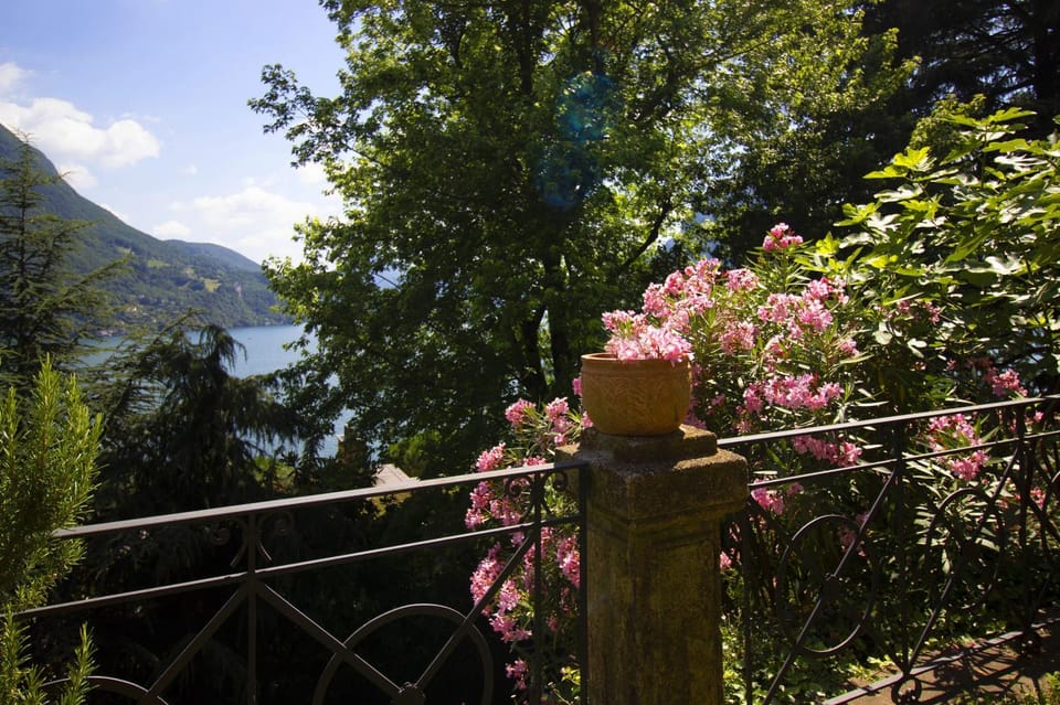 Lake view, Lake view, Mountain view, Mountain view