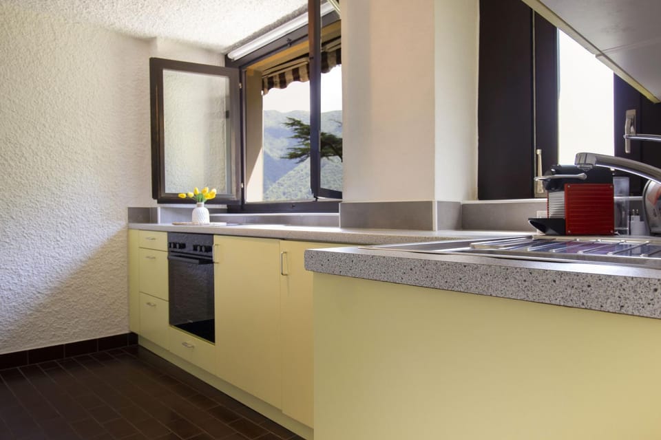 Kitchen or kitchenette, kitchen