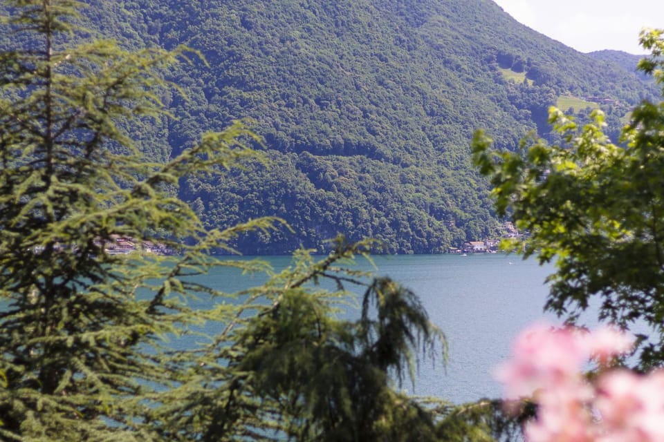 Lake view, Lake view, Mountain view, Mountain view