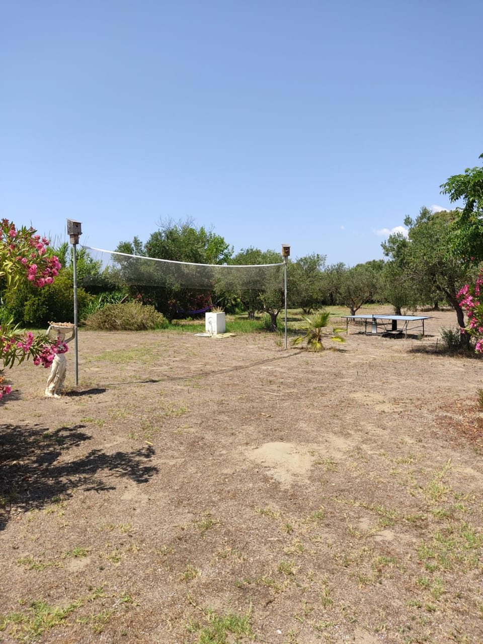 Table tennis, Garden view, Sports