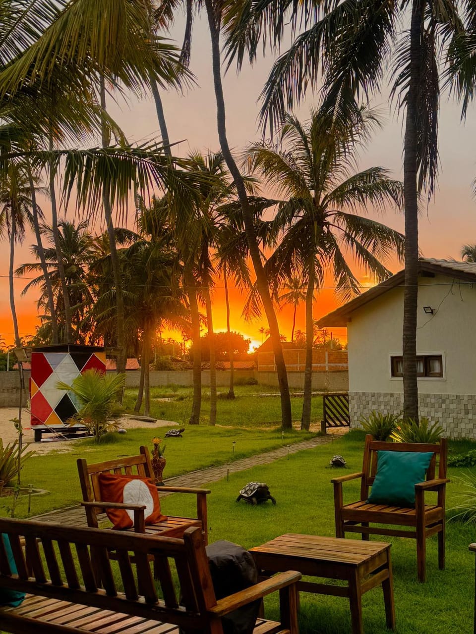 Natural landscape, Garden, Sunset