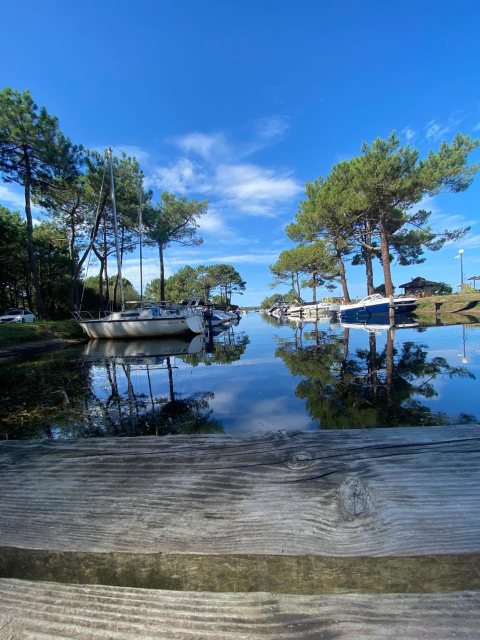 Lake view