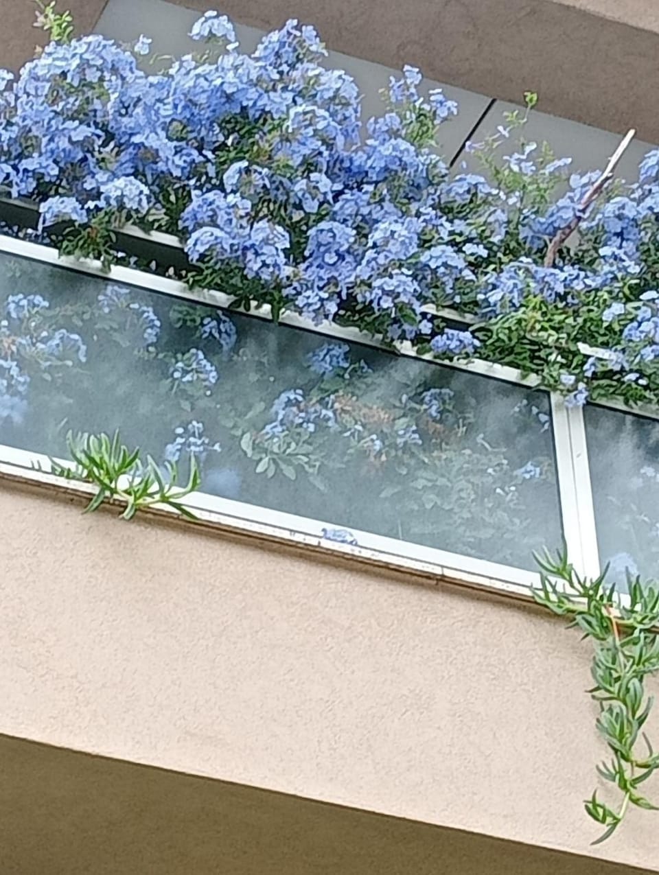 La Casa di Emy House in Vallecrosia