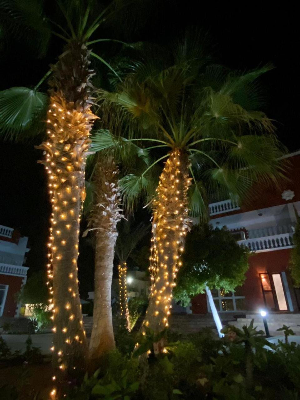 Night, Garden, Garden view