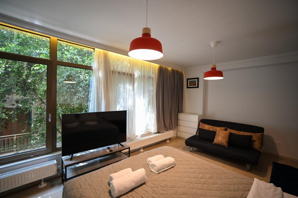 Bed, Living room, Photo of the whole room, Seating area