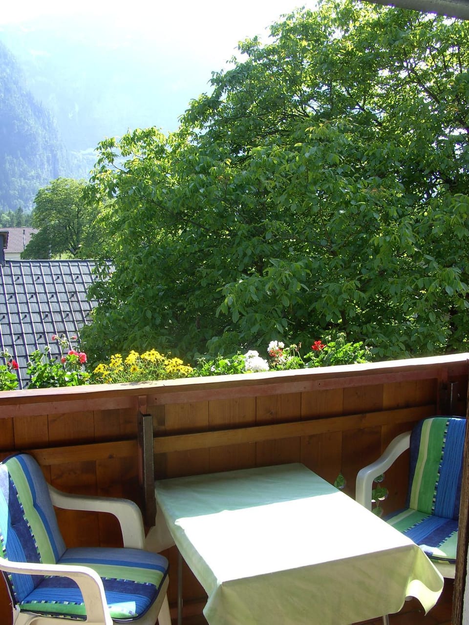 View (from property/room)