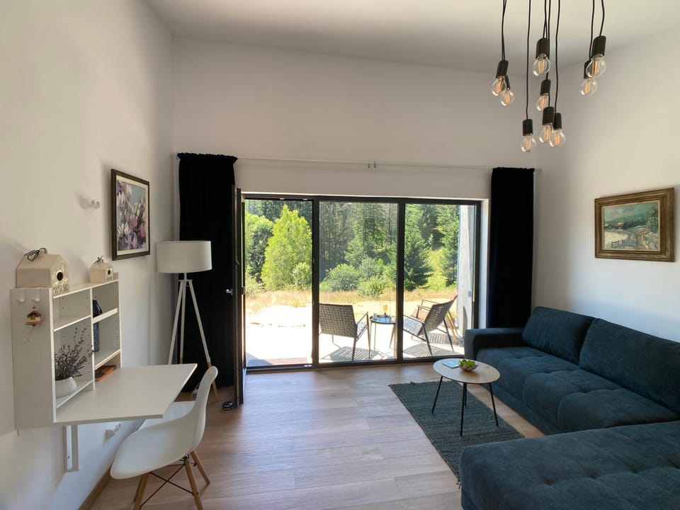 Balcony/Terrace, Living room