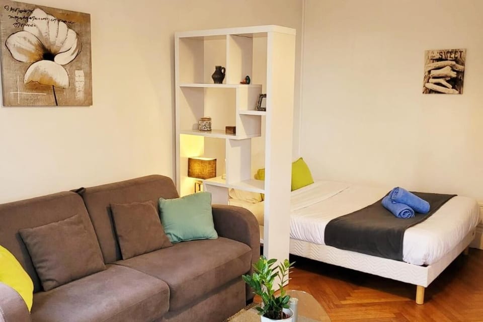 Le Lumineux Apartment in Nantes