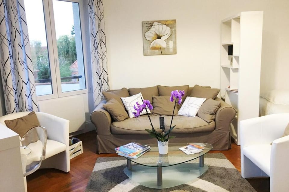 Le Lumineux Apartment in Nantes