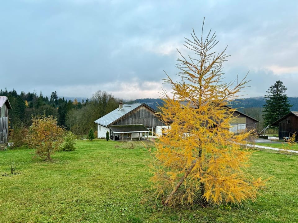 Natural landscape, Garden view