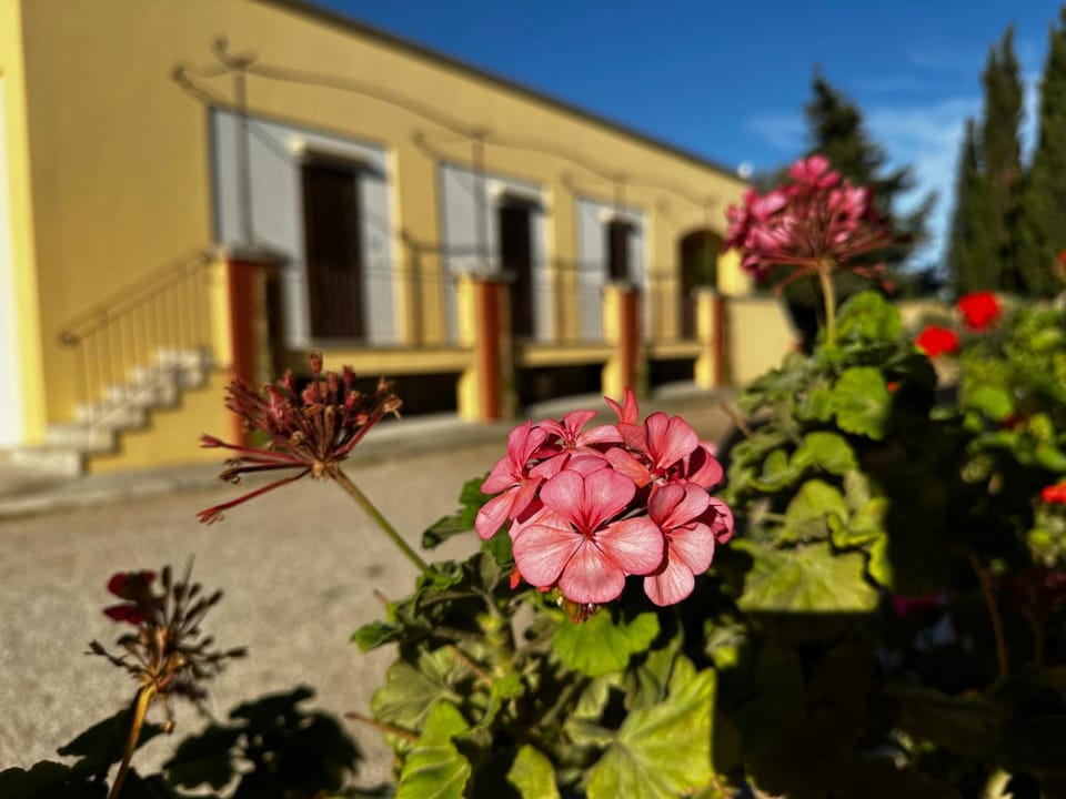 Garden, Garden