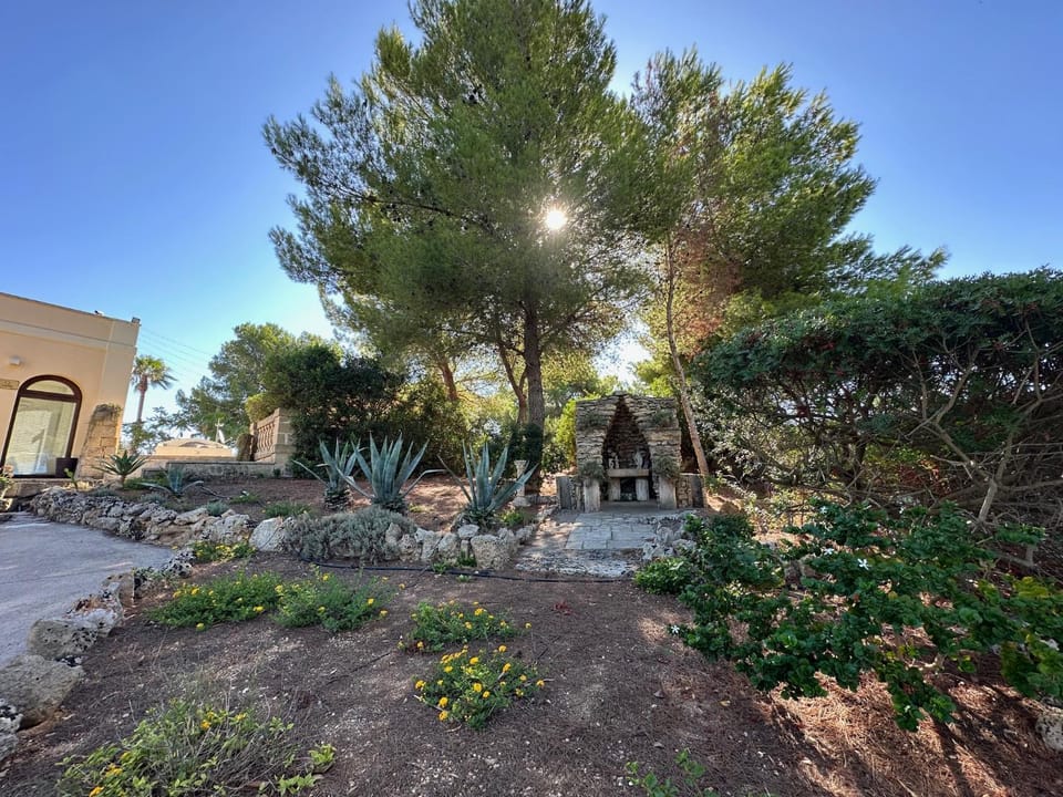 Natural landscape, Garden view