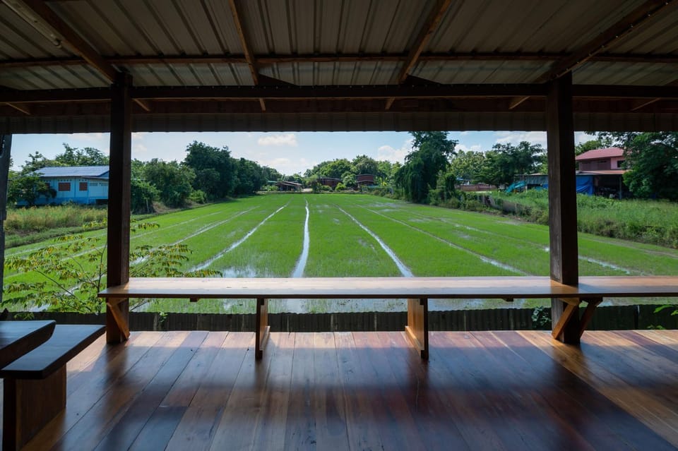 View (from property/room), Garden view, Garden view