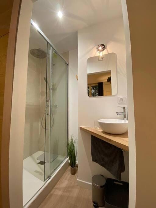 Cozy 1BR in Lyon Center Apartment in Lyon