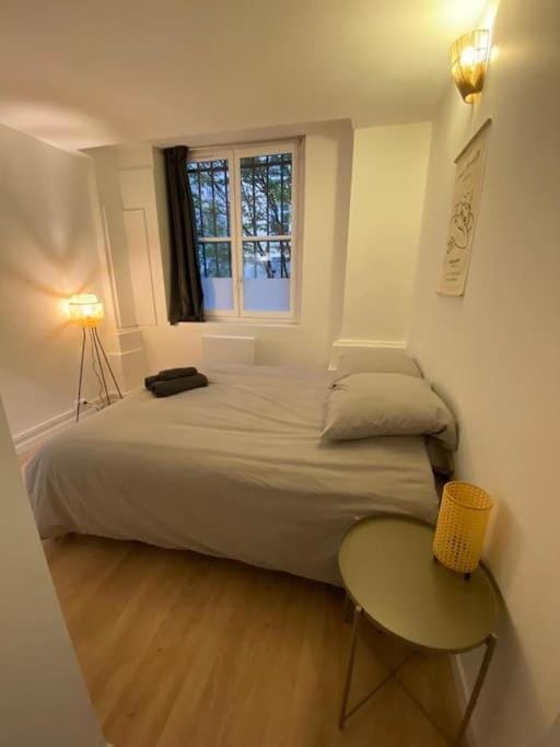 Cozy 1BR in Lyon Center Apartment in Lyon