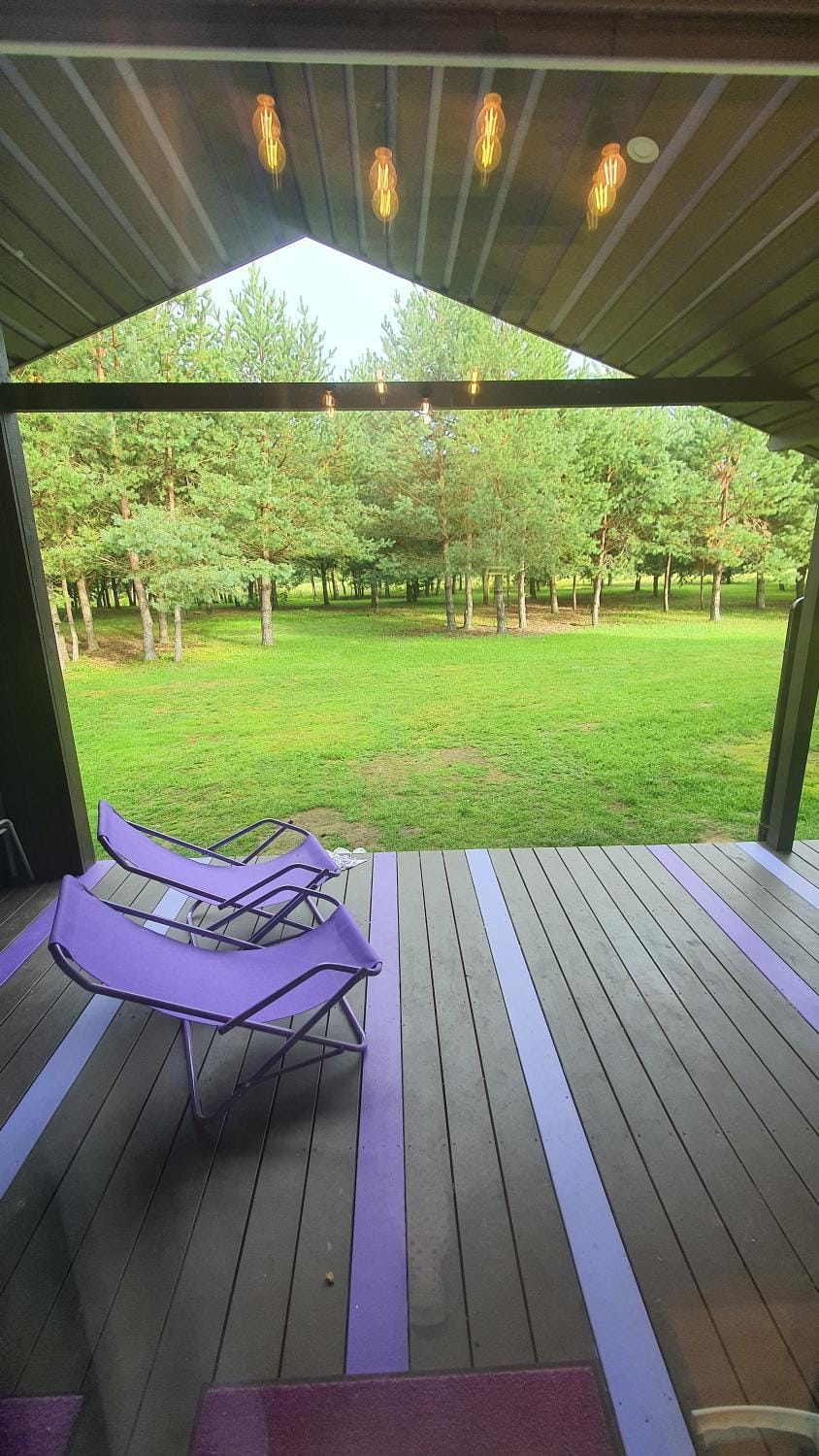 Violetinis namelis/ Sodyba Geras House in Lithuania