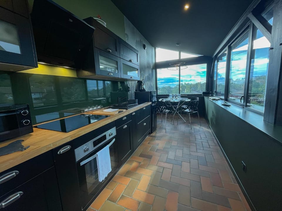 Kitchen or kitchenette, minibar, pet friendly, stove
