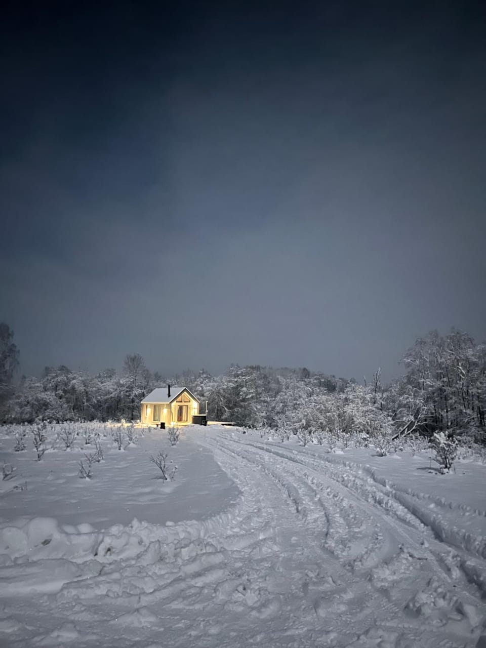 Natural landscape, Winter