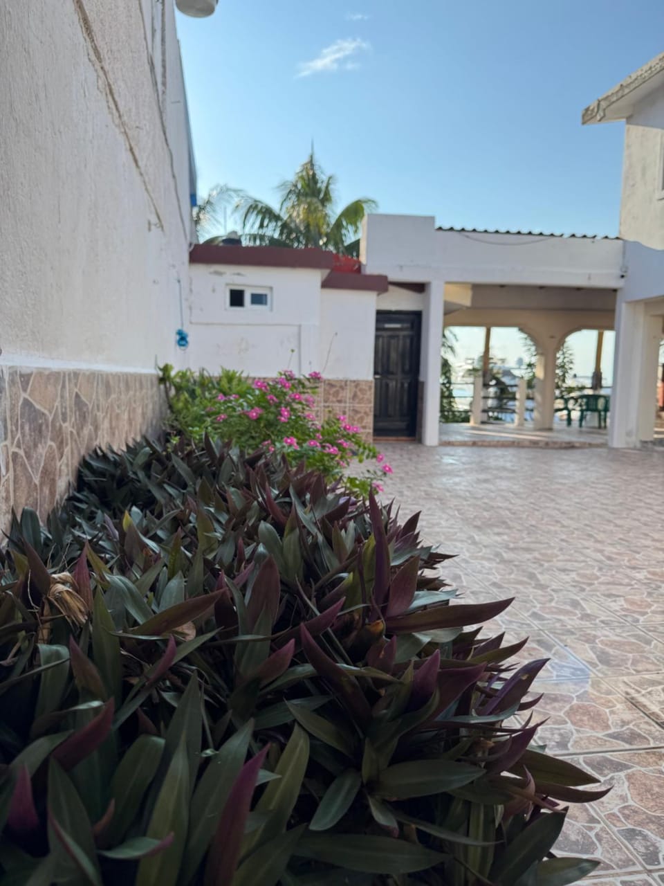 Patio, Inner courtyard view