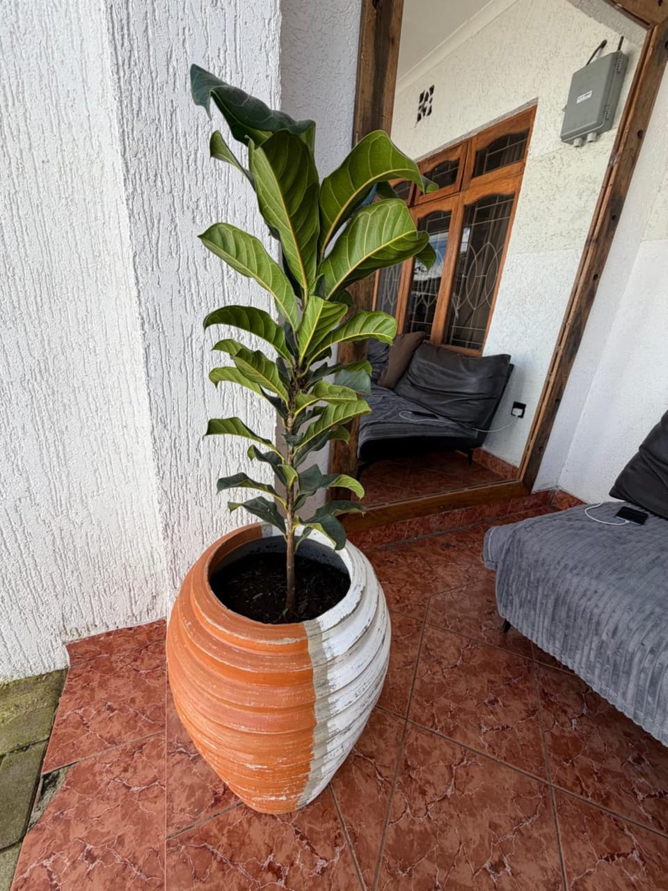 City Retreat 8-8 Apartment in Arusha