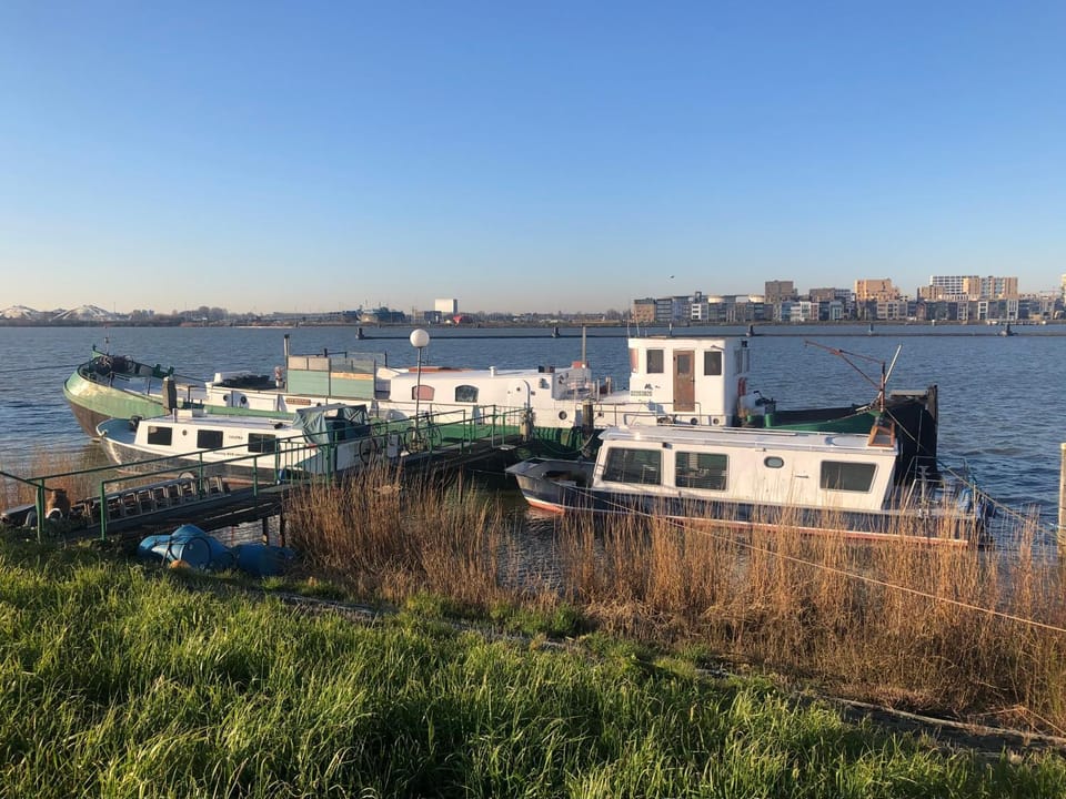 River view