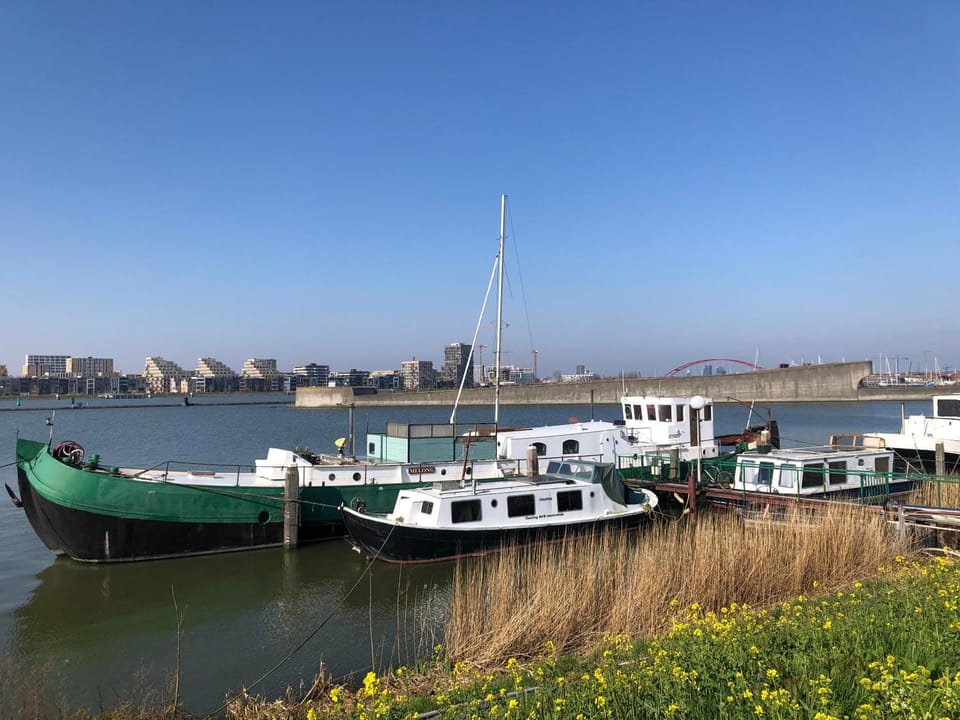 Other, River view