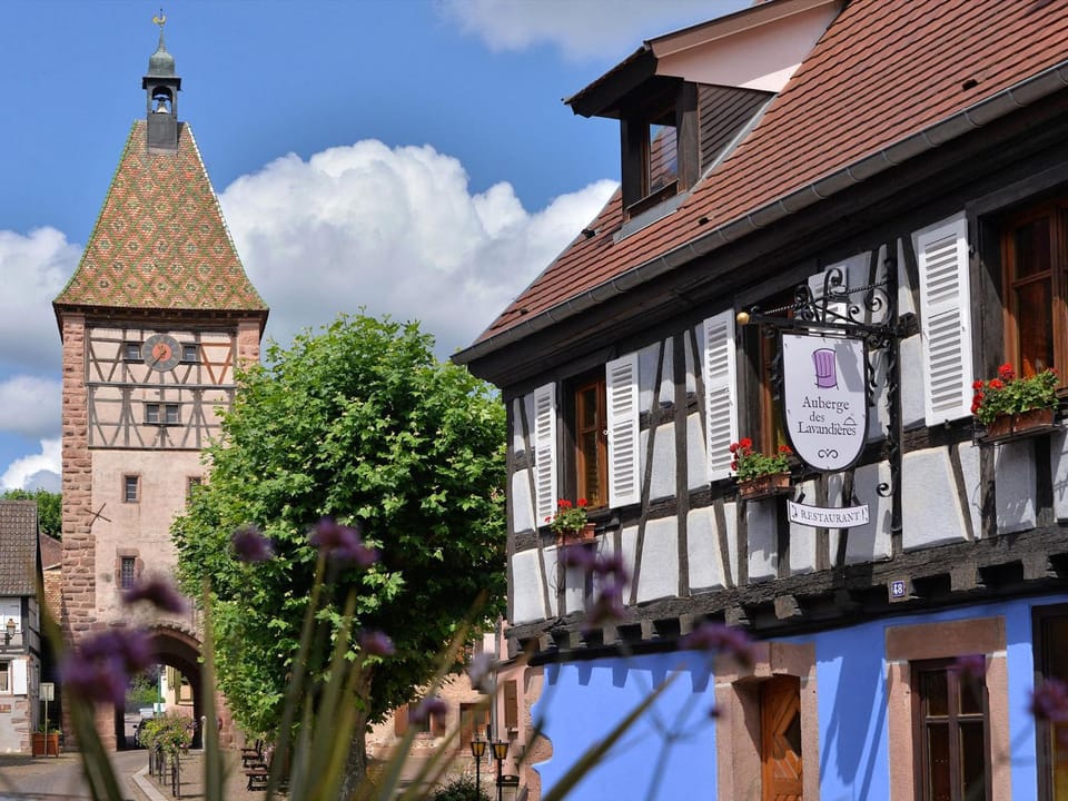 Gîte charmant au calme, 2 personnes, proche vignobles et châteaux, animaux acceptés, terrasse jardin - FR-1-744-33 House in Ribeauvillé