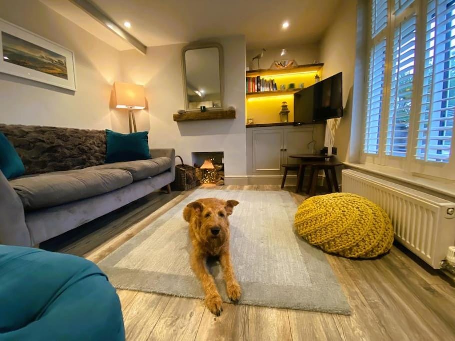 Living room, Pets