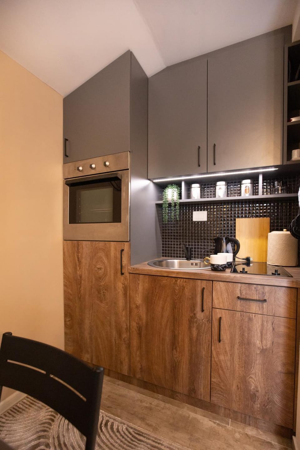 Kitchen or kitchenette, minibar, pet friendly, stove