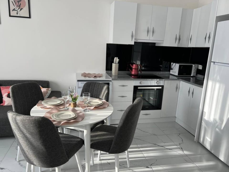 Kitchen or kitchenette, Dining area, oven, stove