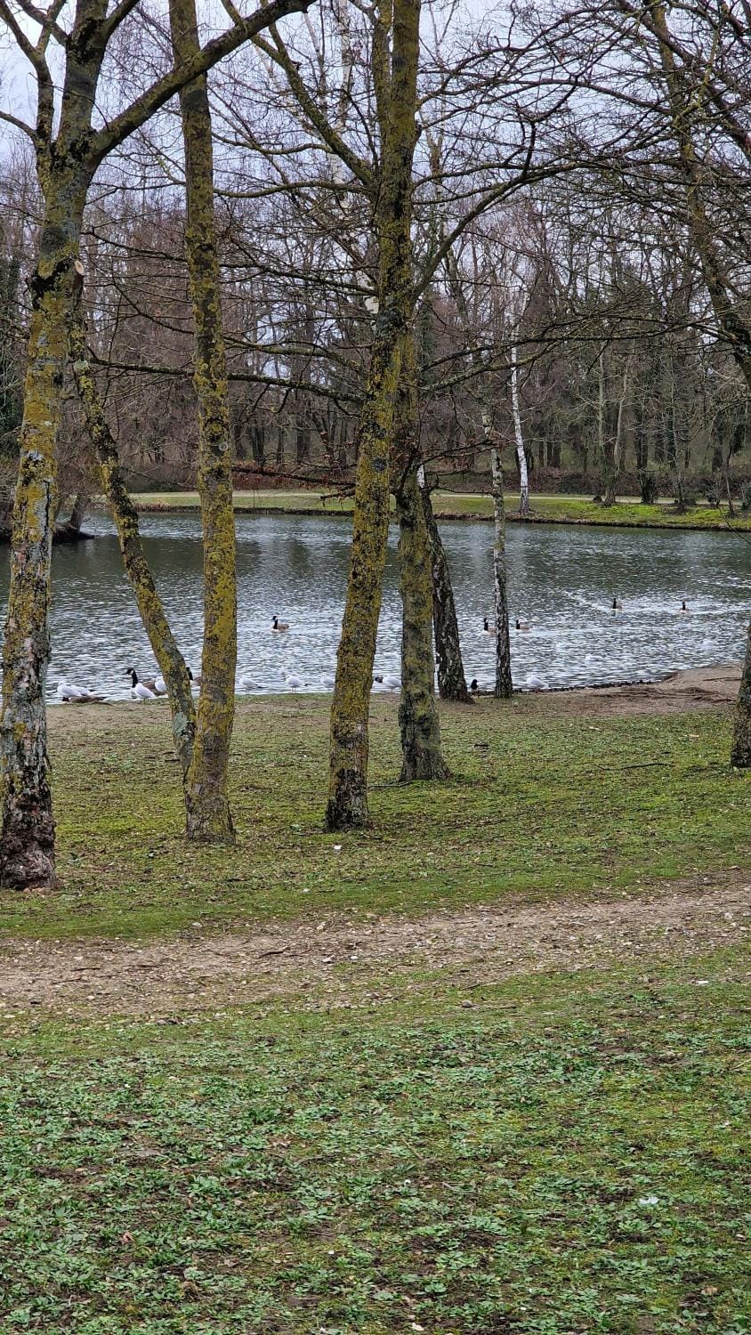 Lake view