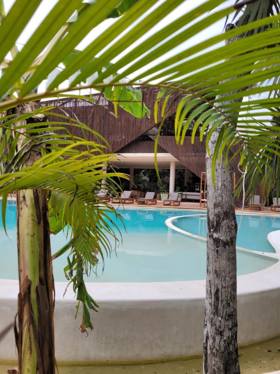 Day, Garden, Pool view, Swimming pool