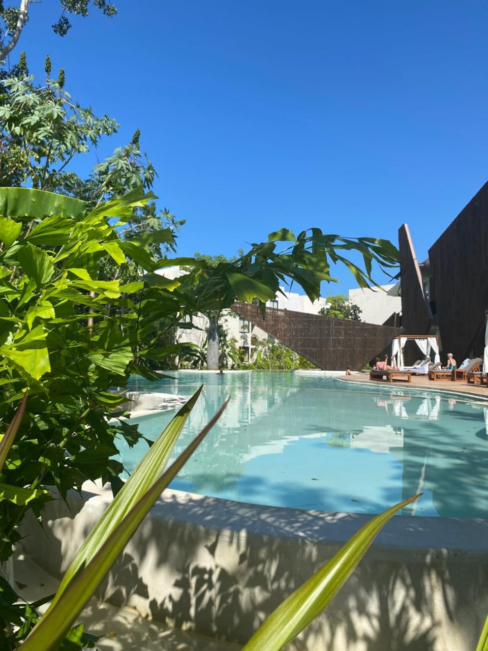Day, Pool view, Swimming pool