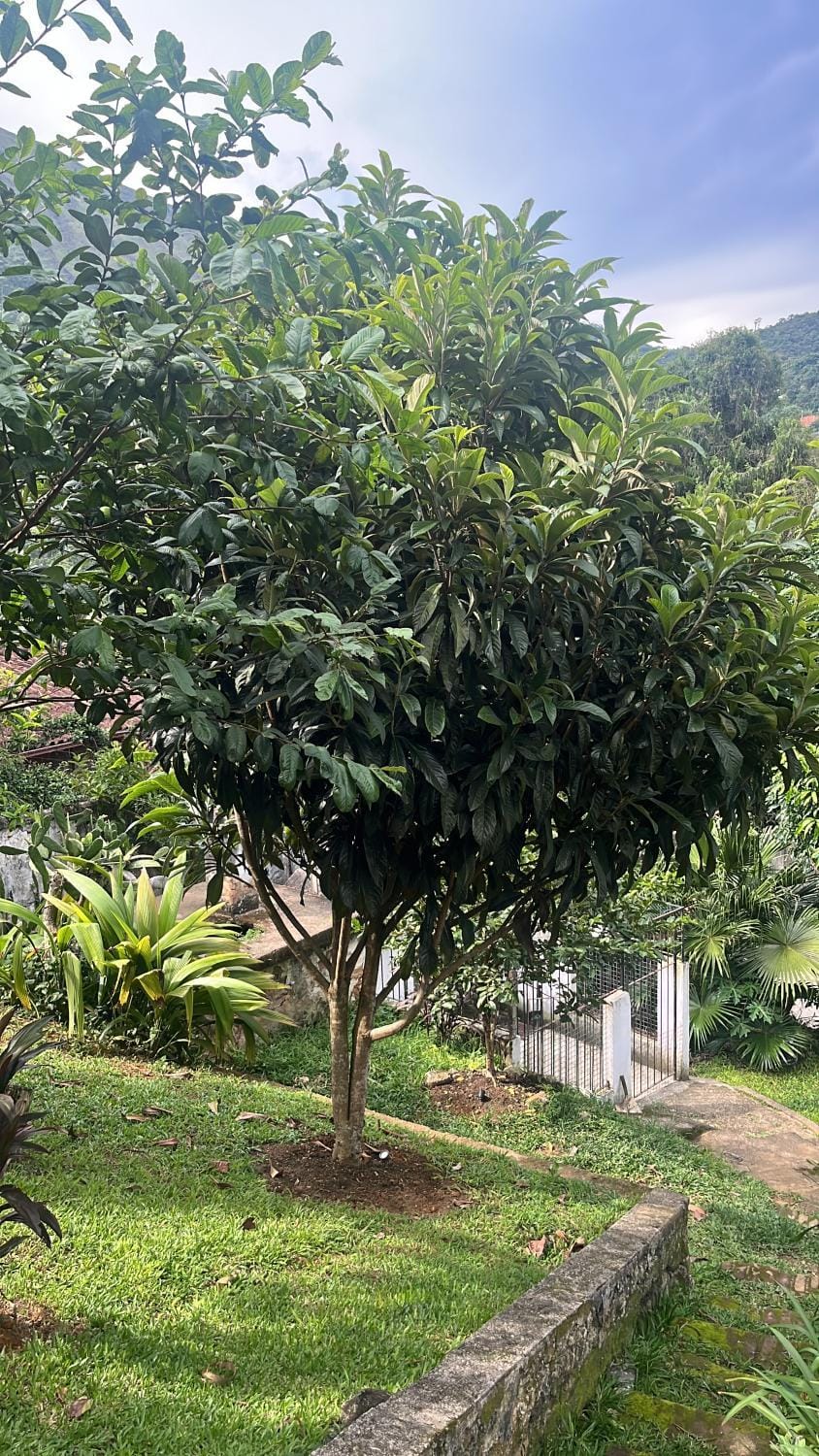Refúgio Imperial House in State of Rio de Janeiro