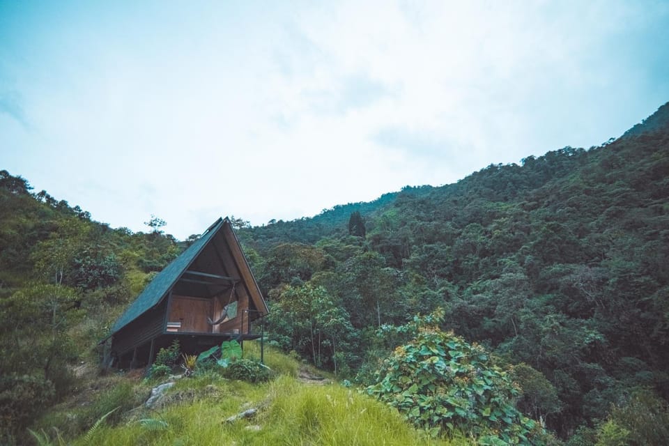 Mountain view