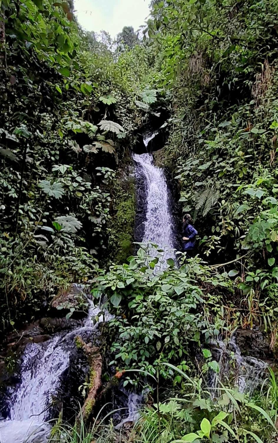Natural landscape