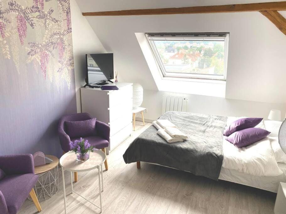 Esprit Violet - Joli Studio Salengro - Sauna & Sport club Apartment in Mulhouse