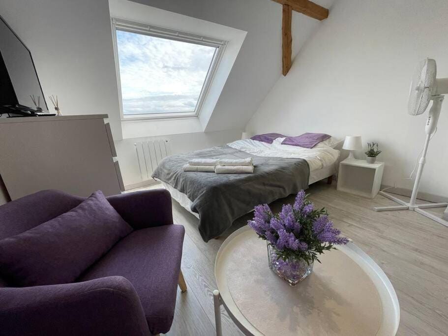 Esprit Violet - Joli Studio Salengro - Sauna & Sport club Apartment in Mulhouse