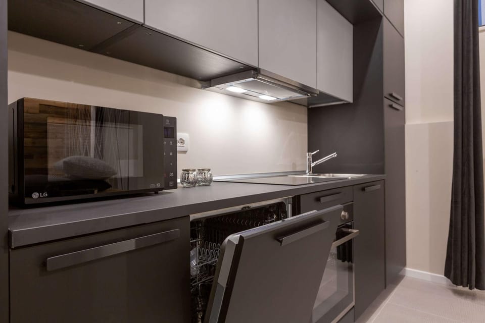 Kitchen or kitchenette, dishwasher, minibar, pet friendly, stove