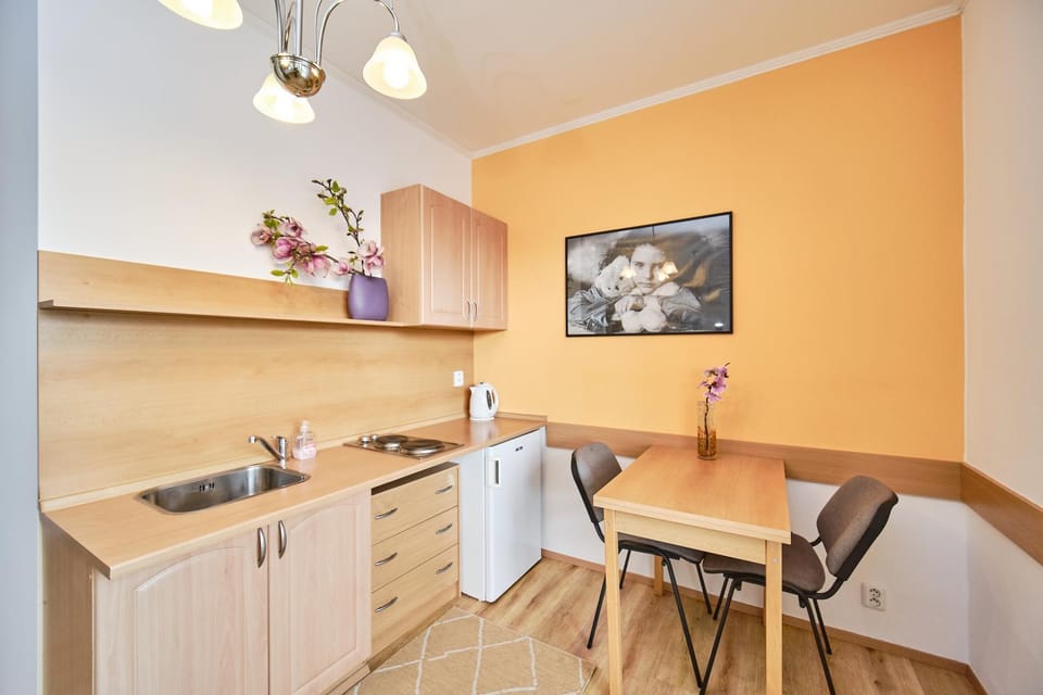 Kitchen or kitchenette, Dining area, stove