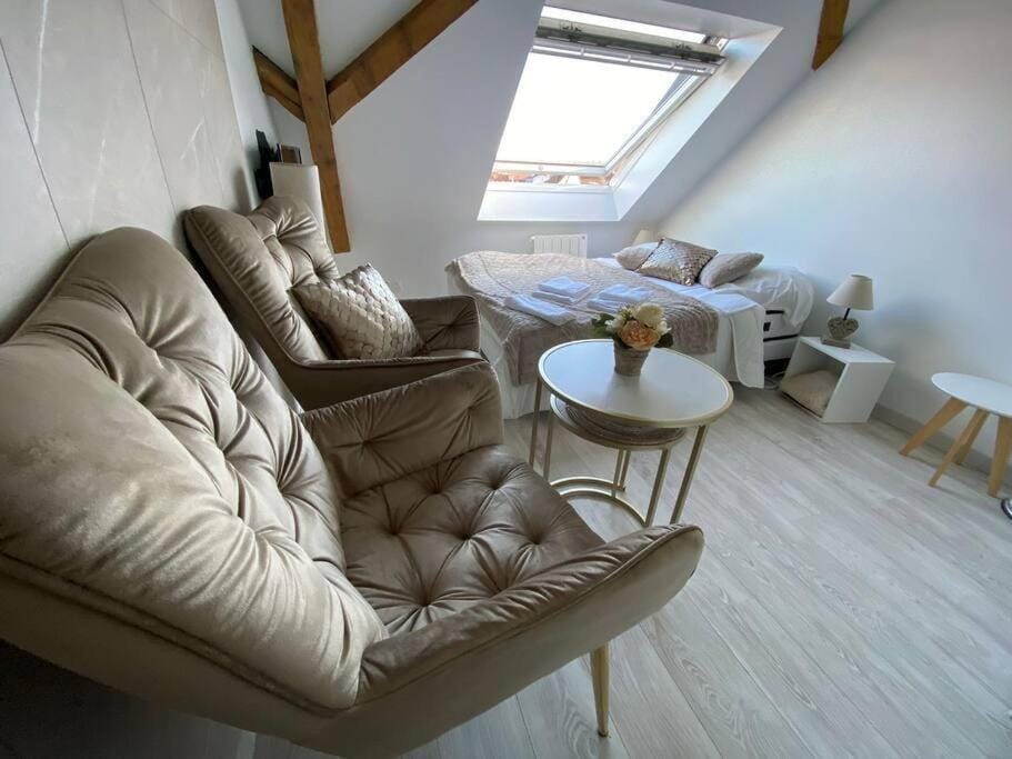 Esprit Beige - Joli Studio Salengro - Sauna & Sport club Apartment in Mulhouse