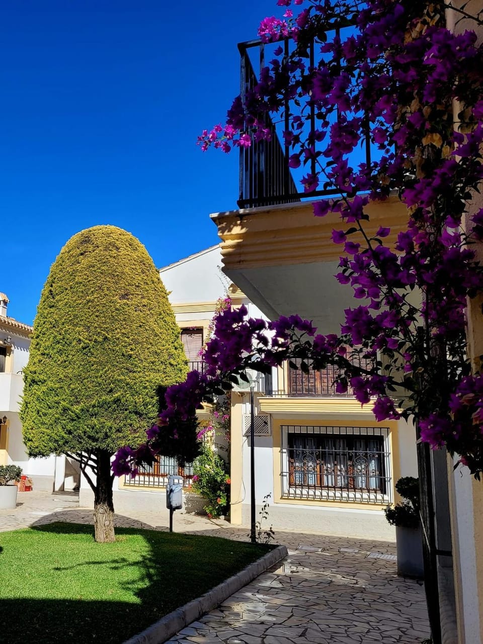 Garden, Garden view
