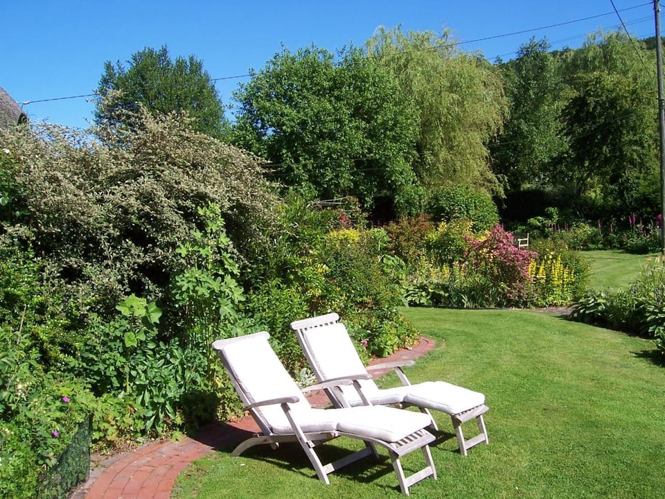 Patio, Natural landscape, Garden, Garden view, sunbed