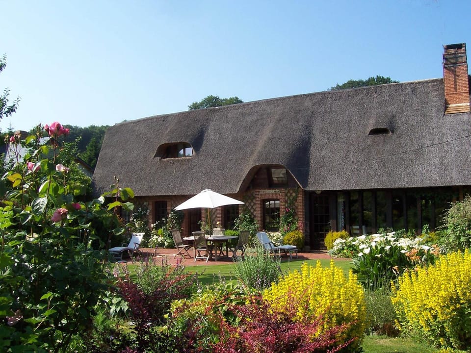 Property building, Garden, Garden view