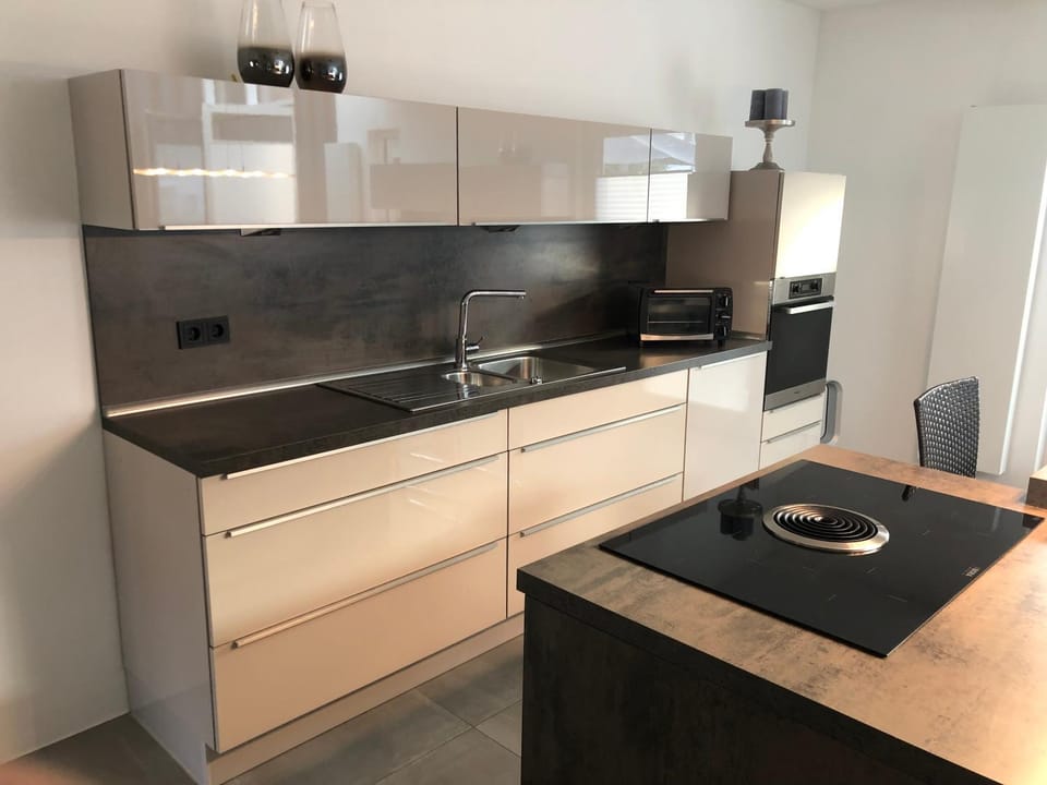 Kitchen or kitchenette, dishwasher, minibar, pet friendly, stove