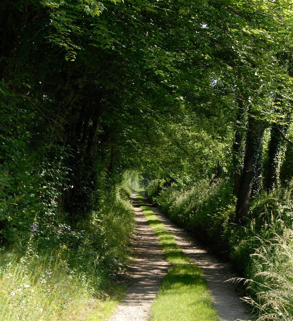 Natural landscape, Natural landscape