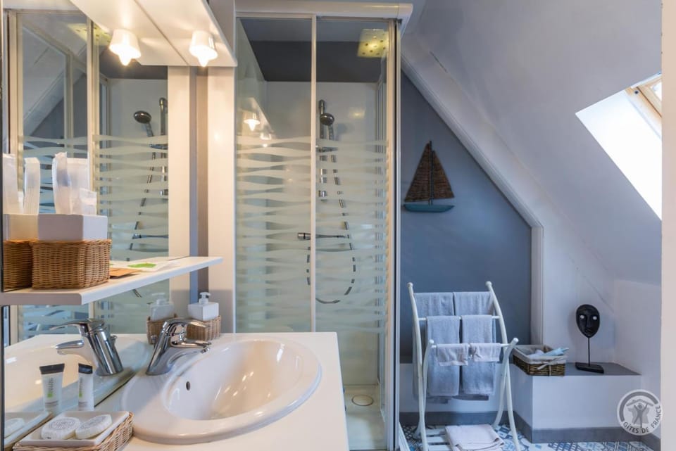 Shower, Toilet, towels