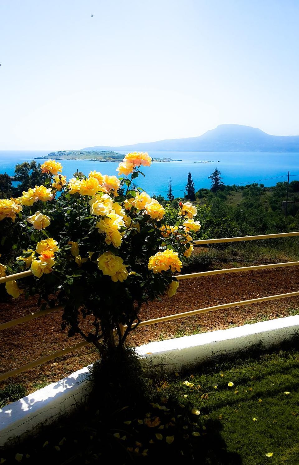 Garden, Sea view