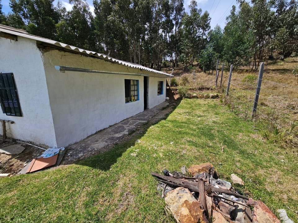 Property building, Spring, Garden, Garden view