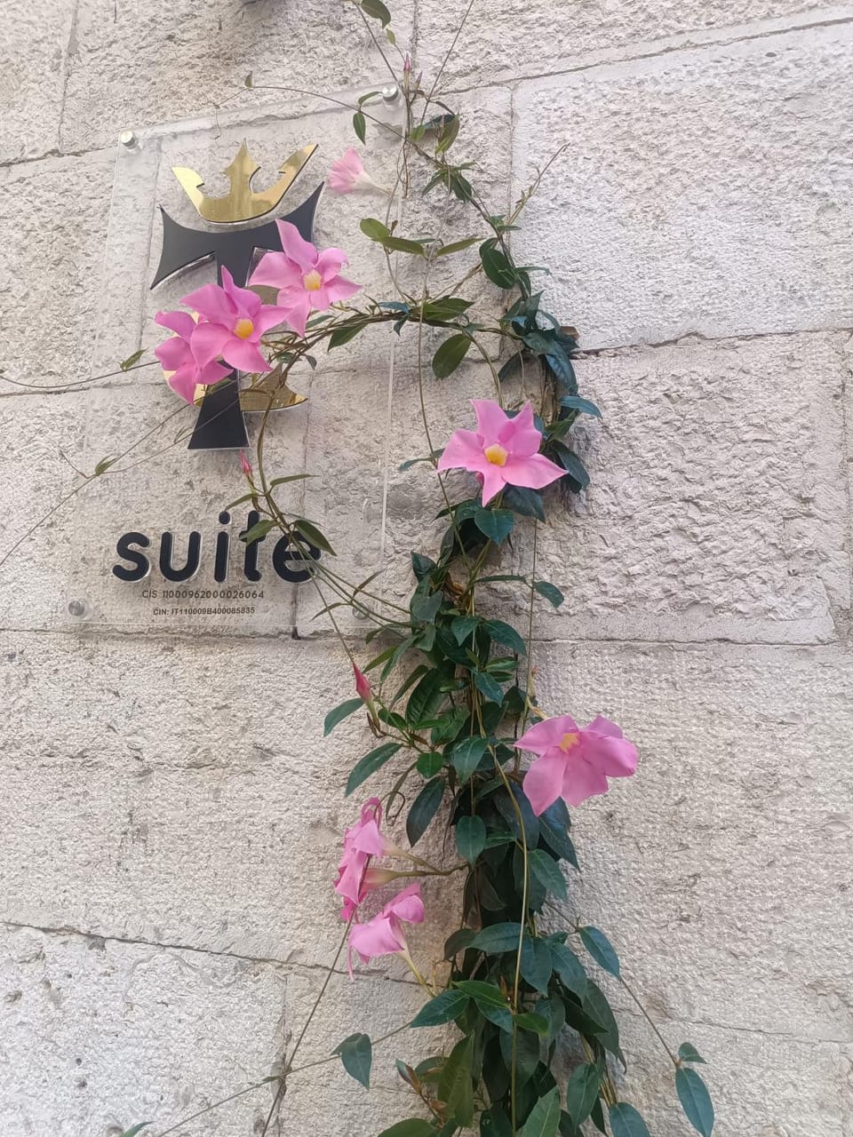 B&B Torre Canina suite & rooms Bed and Breakfast in Trani